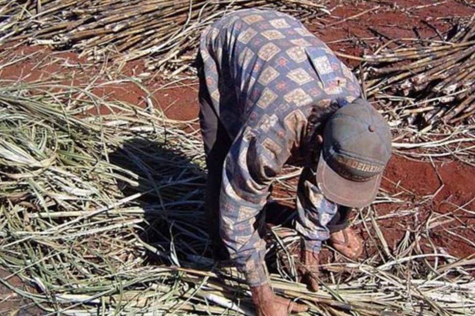 Produtores de cana atingidos pela seca recebem auxílio