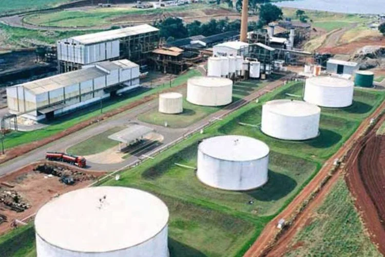 Parceria da Cosan com a Shell: maior negócios do primeiro semestre foi assessorado pela Souza, Cescon (EXAME.com)