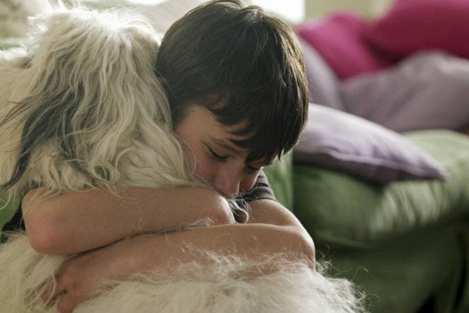 Ter um cachorro diminui estresse e ansiedade em crianças