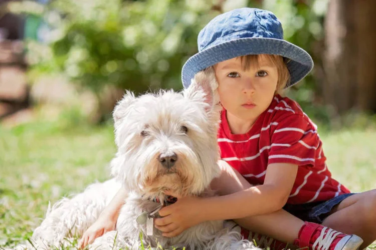 Abraço: segundo psicólogo, cachorros ficam estressados e ansiosos ao serem abraçados (Thinkstcok/tatyana_tomsickova/Thinkstock)