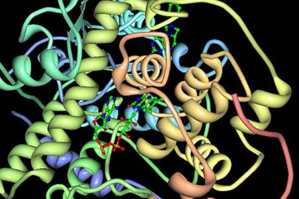 Estudo aumenta compreensão sobre funcionamento de proteínas