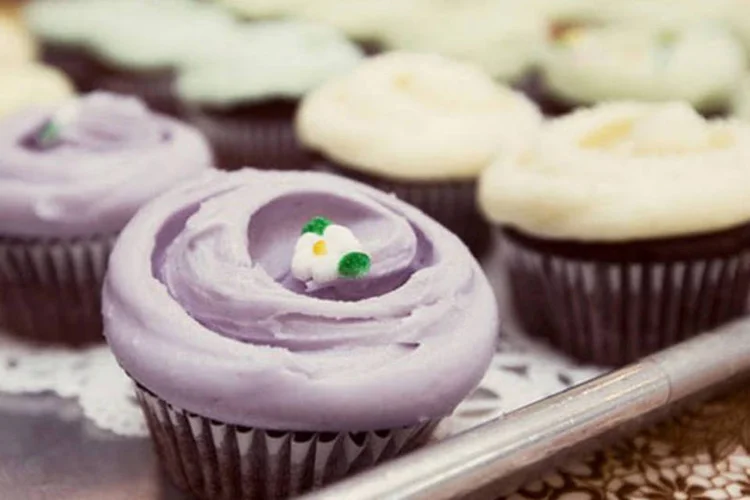 Os cupcakes da Magnolia Bakery podem vir para o Brasil (Divulgação)