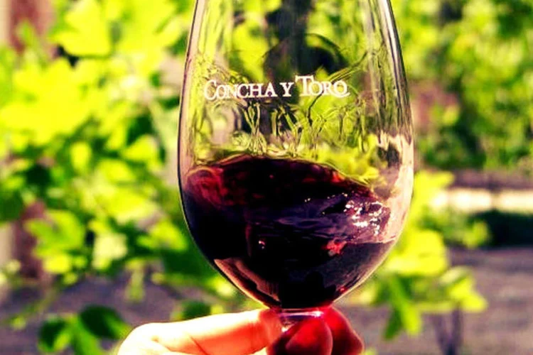 
	Concha y Toro: companhia chilena teve lucro l&iacute;quido perto de R$ 100 milh&otilde;es de janeiro a setembro
 (Reprodução/Facebook)