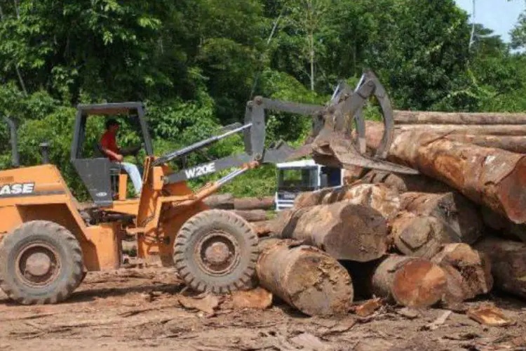 Efetivo da Força Nacional de Segurança  será usado para ações de combate ao desmatamento ilegal da Floresta Amazônica (Arquivo/Agência Brasil)