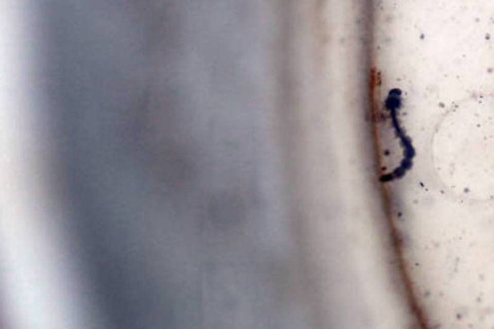 Espelhos d'água de SP recebem cloro contra Aedes aegypti