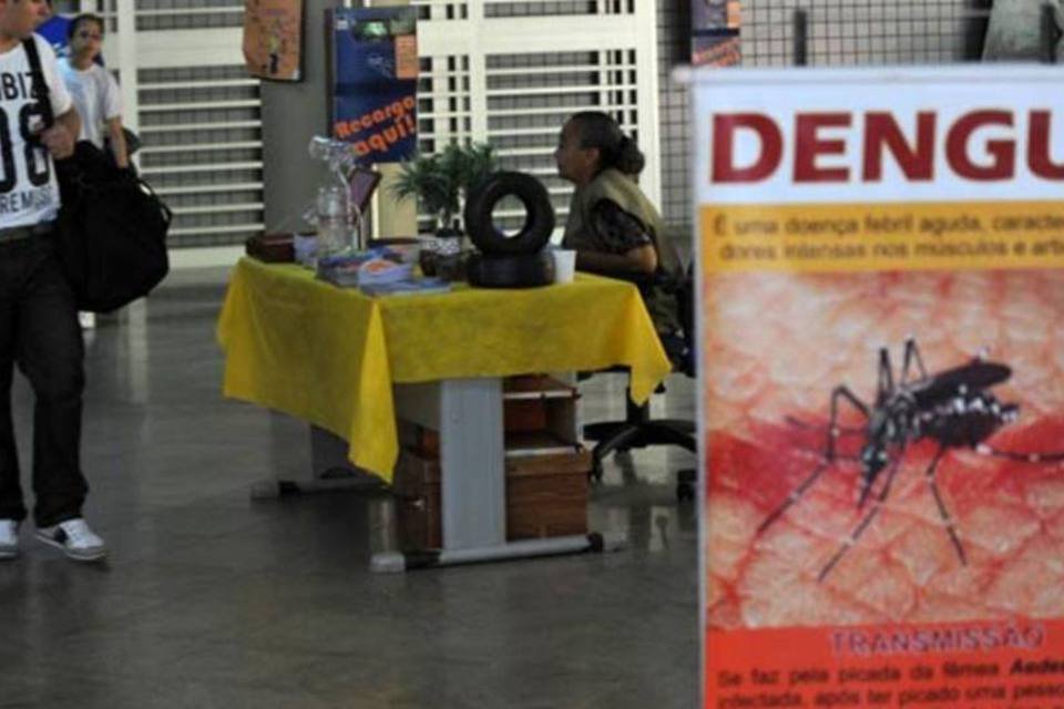 Onze estados concentram 74% dos casos notificados de dengue