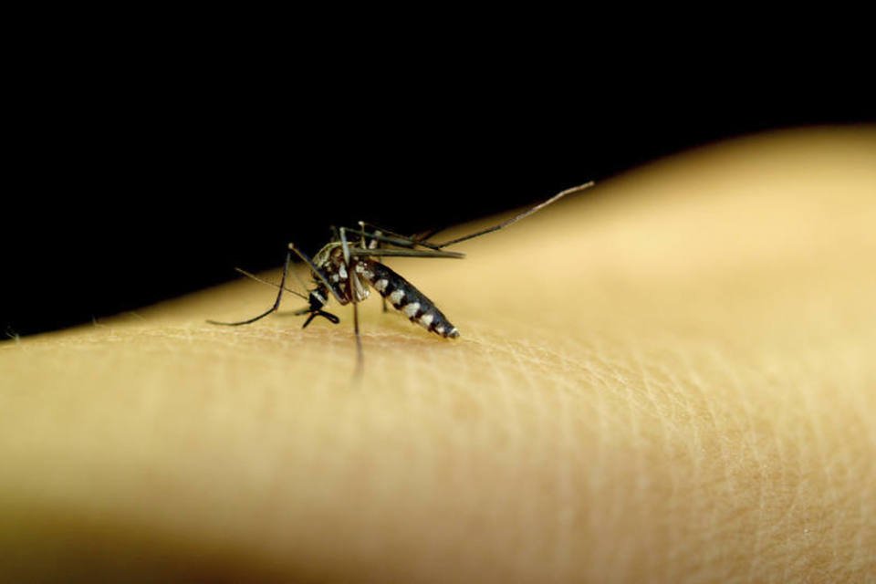 Tenda para atendimento de casos de dengue é aberta em SP