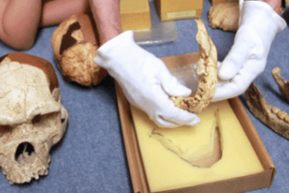 Dente humano de 560 mil anos é encontrado na França