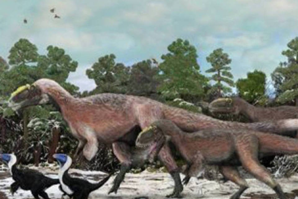 Primo de Tiranossauro com plumas é descoberto