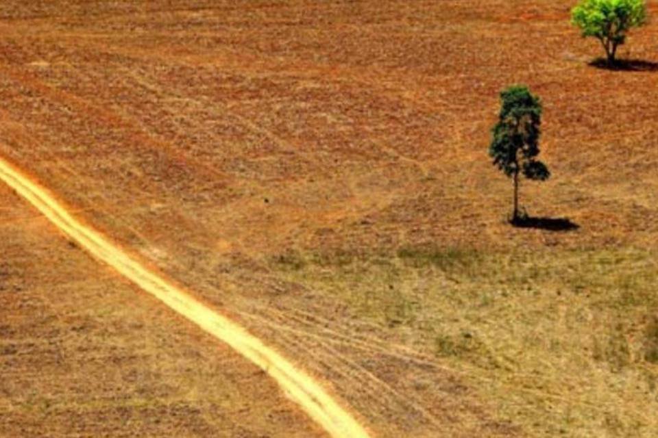 Multa ambiental só prescreve 5 anos após fim do processo administrativo