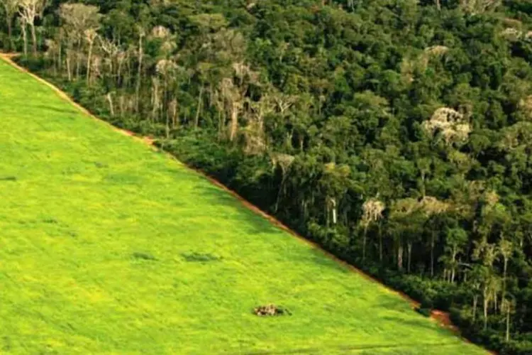 Desmatamento é responsável por 10% a 20% das emissões de gases de efeito estufa (Getty Images)