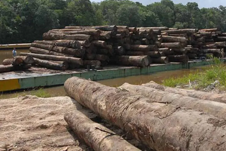 Revisão do Código Florestal causa mal estar entre governo e ambientalistas (Wilson Dias/ Agência Brasil)