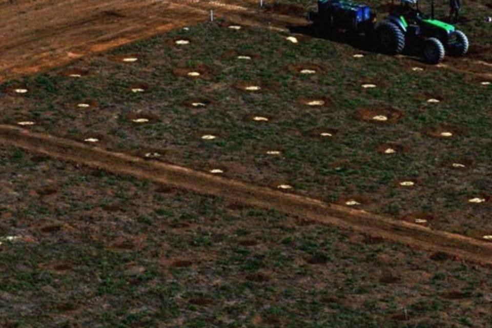 Cientistas reagem à flexibilização do Código Florestal