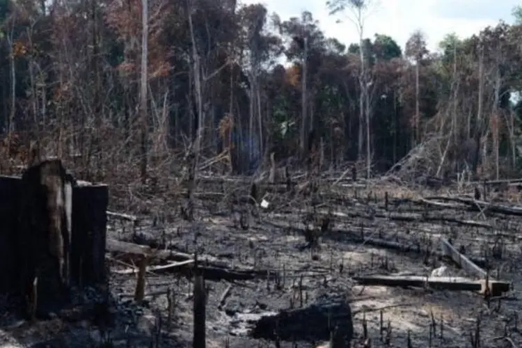 
	Desmatamento: maior aumento das emiss&otilde;es entre 2012 e 2013, da ordem de 16%, ocorreu no desmatamento
 (Arquivo/Agência Brasil)
