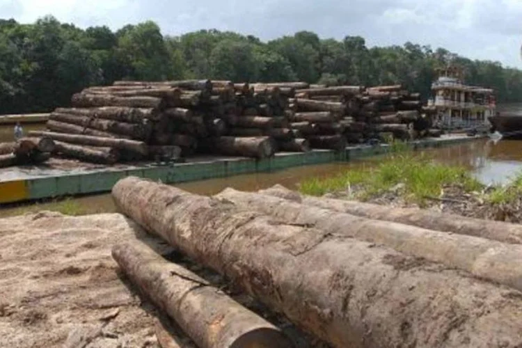 
	Madeiras: exporta&ccedil;&otilde;es de celulose, cuja produ&ccedil;&atilde;o nacional &eacute; voltada principalmente ao mercado externo, atingiram 11,5 milh&otilde;es de toneladas em 2015
 (.)