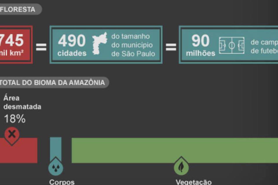 O desmatamento na Amazônia em números impressionantes