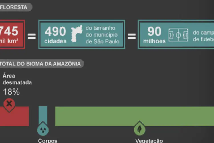 Infográfico: desmatamento da Amazônia (Beatriz Blanco / EXAME.com)