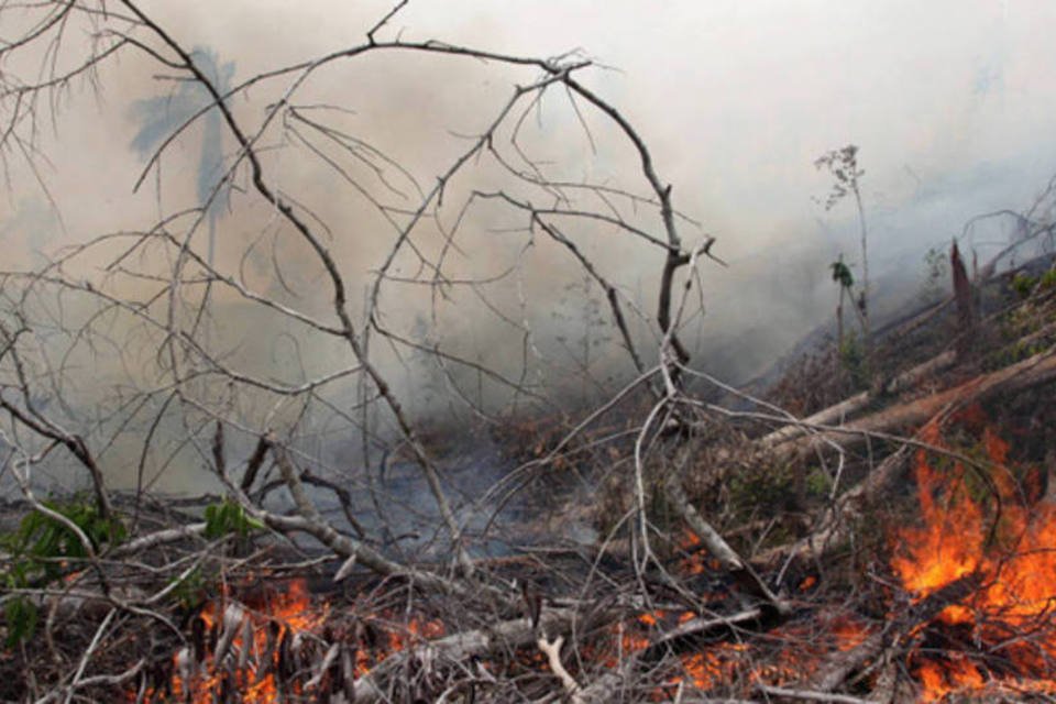 Com tempo seco, queimadas se alastram pelo interior de São Paulo