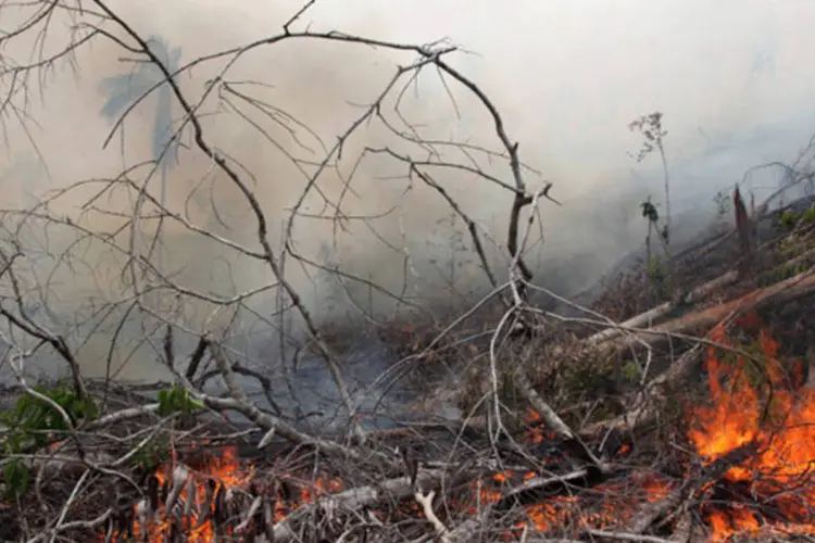 
	Queimadas: os inc&ecirc;ndios florestais em 2015, detectados por meio de sat&eacute;lite, predominaram no per&iacute;odo menos chuvoso
 (Dimas Ardian/Bloomberg)