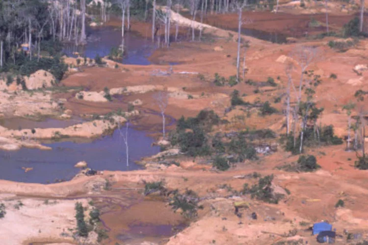 A área total desmatada em agosto foi de 498 km² (Veja/CLAUDIO ROSSI)