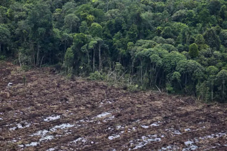 Desmatamento na Amazônia. (Getty Images/Getty Images)