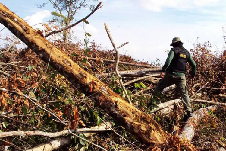 
	Desmatamento na Amaz&ocirc;nia: No m&ecirc;s passado foram devastados 389 km&sup2; da Amaz&ocirc;nia Legal - uma &aacute;rea que equivale a mais de 240 vezes a do Parque do Ibirapuera, na zona sul de S&atilde;o Paulo
 (Hebert Rondon/Ibama)