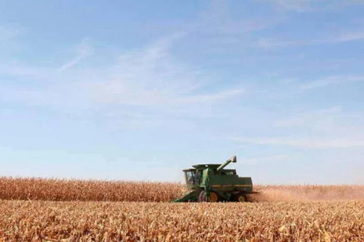
	Soja: acordo com Argentina deve agregar valor &agrave; soja antes de export&aacute;-la
 (Getaway)
