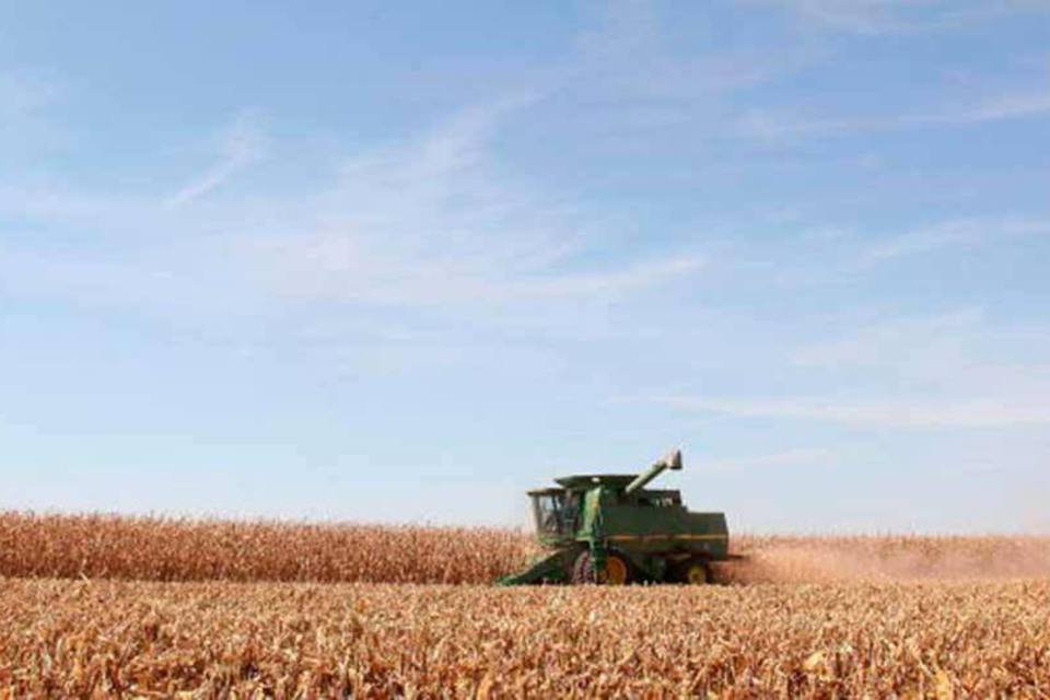 Brasil e Argentina negociam estratégia para exportar soja
