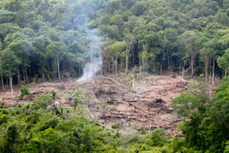 Desmatamento: as emissões por mudanças no uso da terra cresceram 11,3% em 2015 (Ricado Lima/Getty Images)