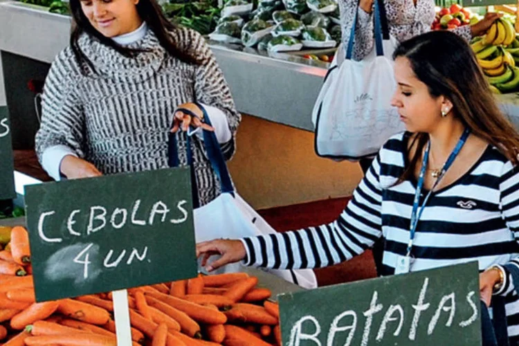 Kit horta na Ourofino (SP): cada funcionário tem direito a 10 quilos de frutas, legumes e verduras por semana (Raul Junior / VOCÊ S/A)