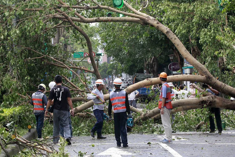 
	Destrui&ccedil;&atilde;o com passagem de tuf&atilde;o em Taiwan: ele deixou mais de um milh&atilde;o de fam&iacute;lias sem &aacute;gua e eletricidade, al&eacute;m de interditar estradas e interromper o tr&aacute;fego a&eacute;reo e ferrovi&aacute;rio
 (Reuters / Pichi Chuang)