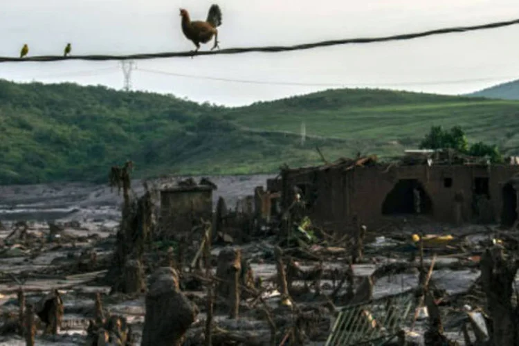 
	Destrui&ccedil;&atilde;o em Bento Rodrigues: m&aacute;quinas devem ajudar nas a&ccedil;&otilde;es de socorro, assist&ecirc;ncia &agrave;s v&iacute;timas e no restabelecimento de servi&ccedil;os sociais
 (Christophe Simon / AFP)