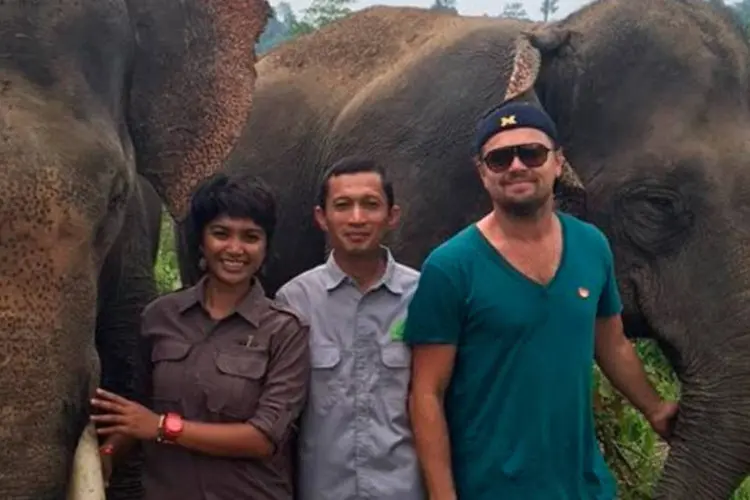 
	Engajado: DiCaprio visitou o pa&iacute;s e criticou o impacto da ind&uacute;stria de &oacute;leo de palma nas florestas tropicais.
 (Instagram /  Leonardo DiCaprio)