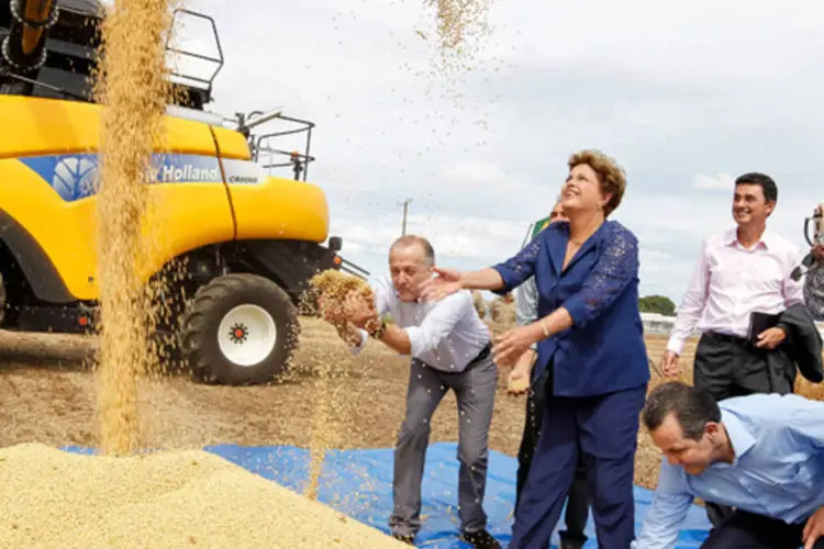 Presidenta Dilma Rousseff durante cerimônia por ocasião da abertura oficial da colheita da safra brasileira de grãos 2013/2014 e início do plantio da 2ª safra (Roberto Stuckert Filho/PR)