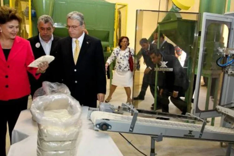 Em Arapiraca (AL), Dilma visita a Unidade Classificadora e Empacotadora de Farinha de Mandioca da Cooperativa Agropecuária de Campo Grande (Roberto Stuckert Filho/Presidência da República)