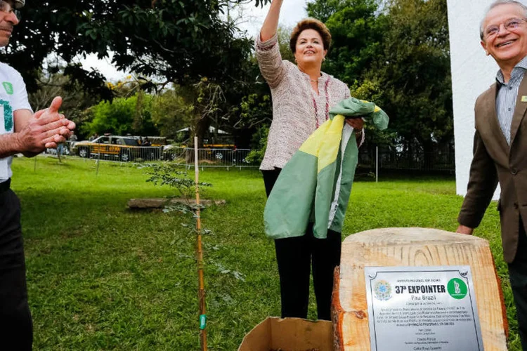 Dilma: "Temos agora uma legislação que garante segurança ao produtor", disse (Ichiro Guerra/Dilma 13)