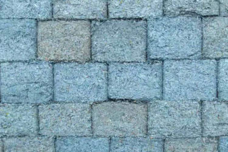 Na fila dos pagamentos (Divulgação)
