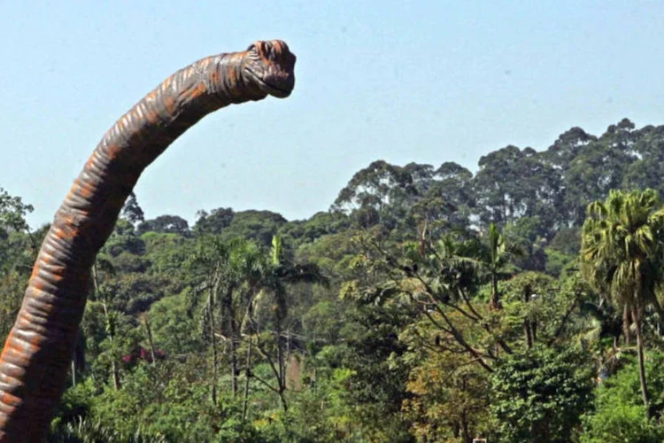 Peça ficará até o final do mês no zoológico e tem autoria do mesmo artista que colocou garrafas PET gigantes no rio Tietê (Divulgação/AdNews)