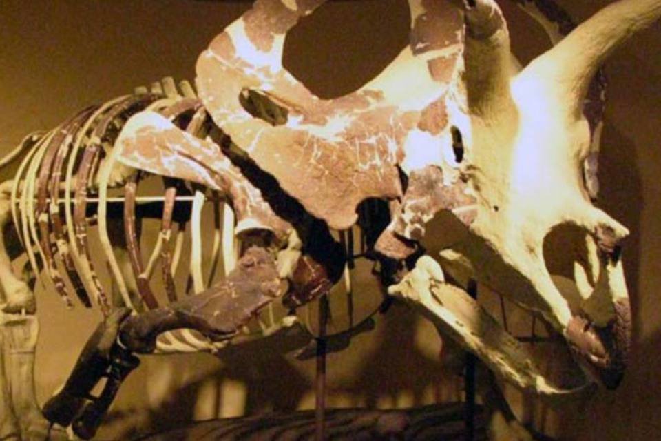 Novo tipo de dinossauro encontrado viveu na Coreia do Sul