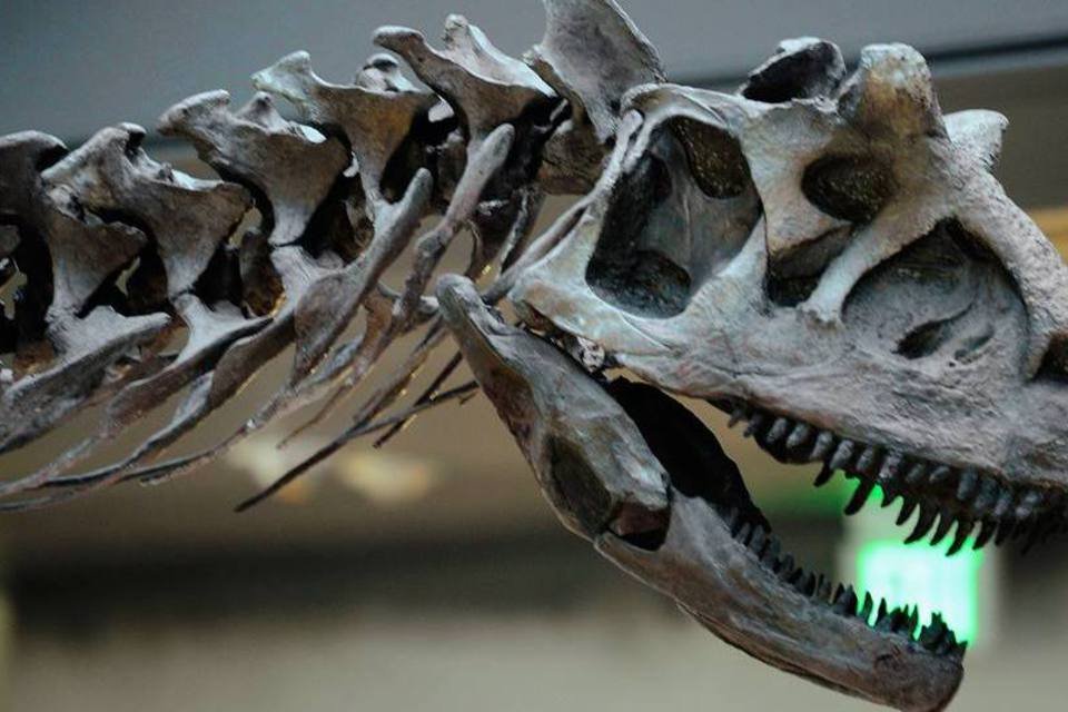 
	Os dinossauros morreram em meio a temperaturas congelantes provocadas pela queda de um asteroide na atual Pen&iacute;nsula de Yucat&aacute;n, no M&eacute;xico
 (foto/Getty Images)