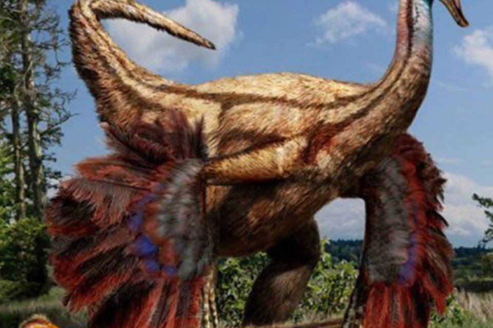 Encontrados fósseis de dinossauros com plumas na América