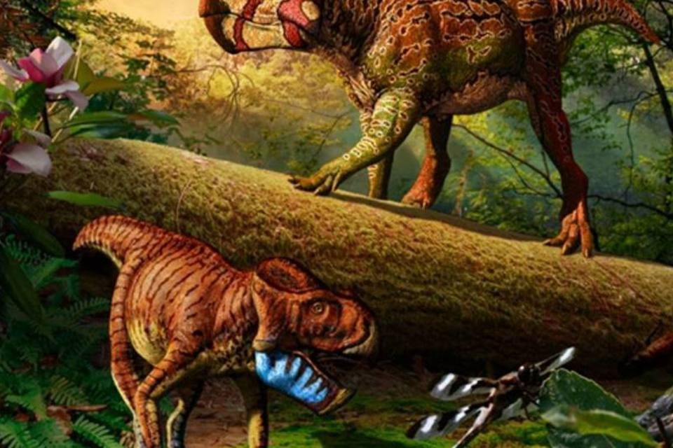 Dinossauros sofriam de artrite há 150 milhões de anos