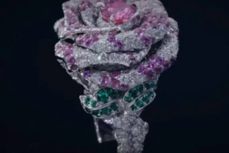 Dior: grife quer dar maior detalhamento possível de seus produtos em novo site (Reprodução)