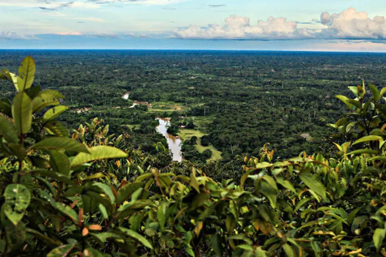 Vista da Serra do Divisor, na região Amazônica (Wikimedia Commons)
