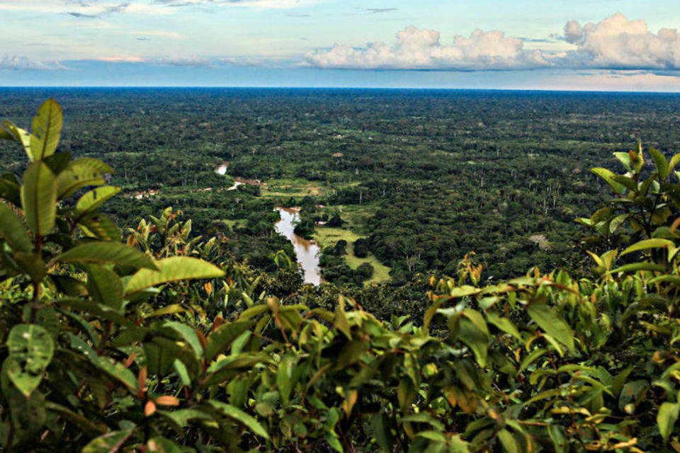 Peru cria Parque Nacional em região amazônica