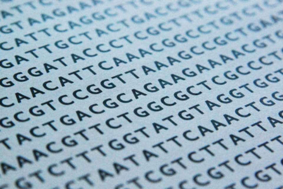 Cientistas incorporam duas novas letras ao alfabeto genético