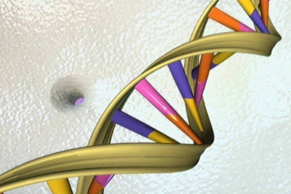 Carta de descobrimento do DNA é leiloada por US$ 5,3 milhões