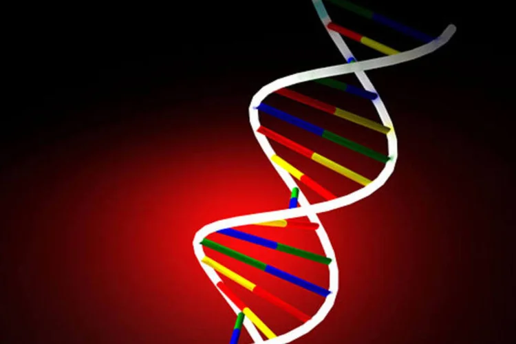 Desenho esquemático da molécula de DNA (Svilen Milev / SXC)