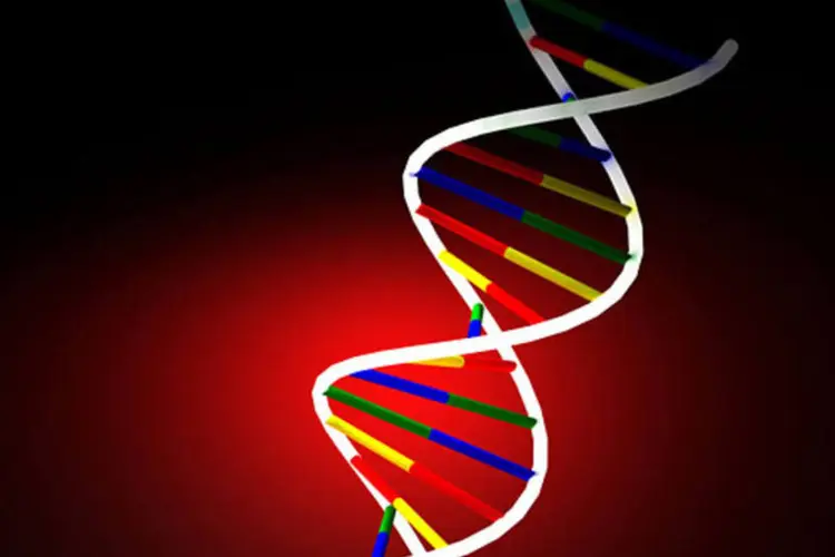 Genes: He Jiankui disse nesta semana que usou uma tecnologia de edição genética conhecida como CRISPR-Cas9 para alterar os genes embrionários de duas gêmeas nascidas este mês (Svilen Milev/SXC)