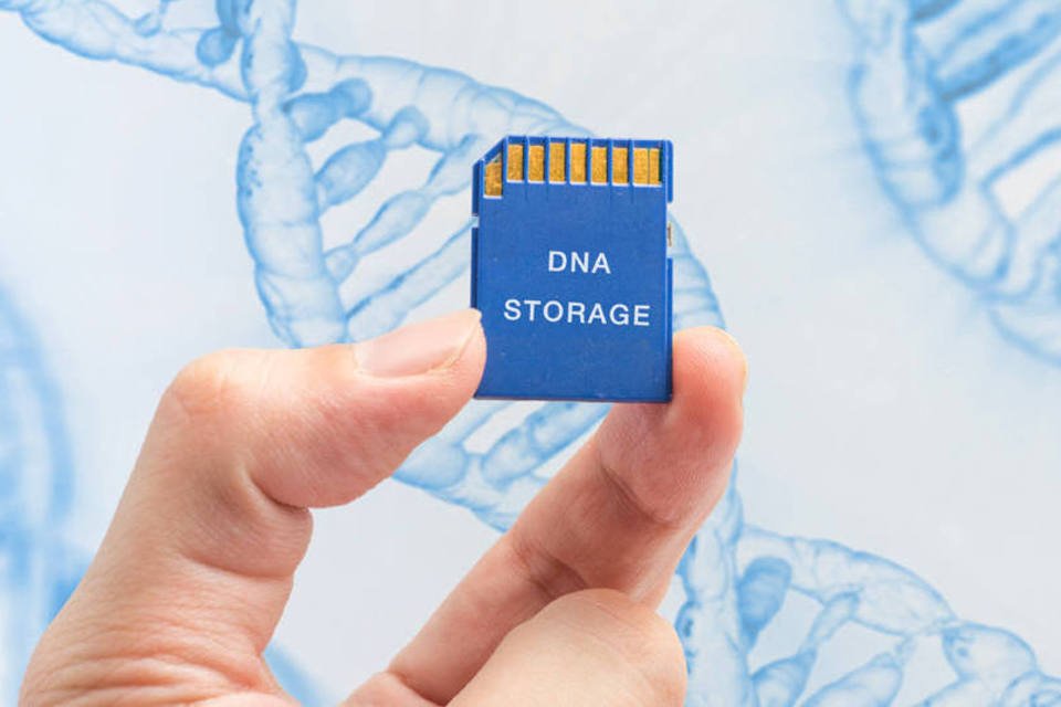 Microsoft consegue armazenar vídeos e livros em DNA humano